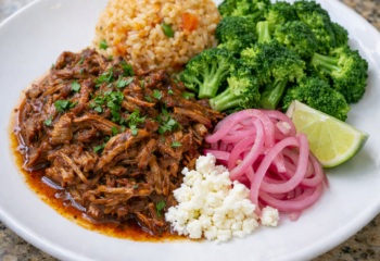 Birria Plate